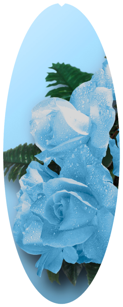 DNSA18-061 Bouquet Of Roses Blue